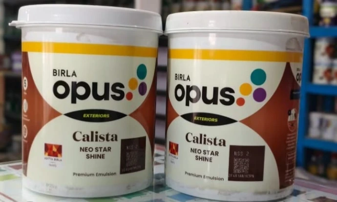 BIRLA OPUS Calista 1L
